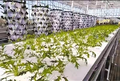 20230208/63e34193588fb.jpg 微信圖片_20230208143841.jpg